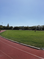 Veszprémi Városi Stadion