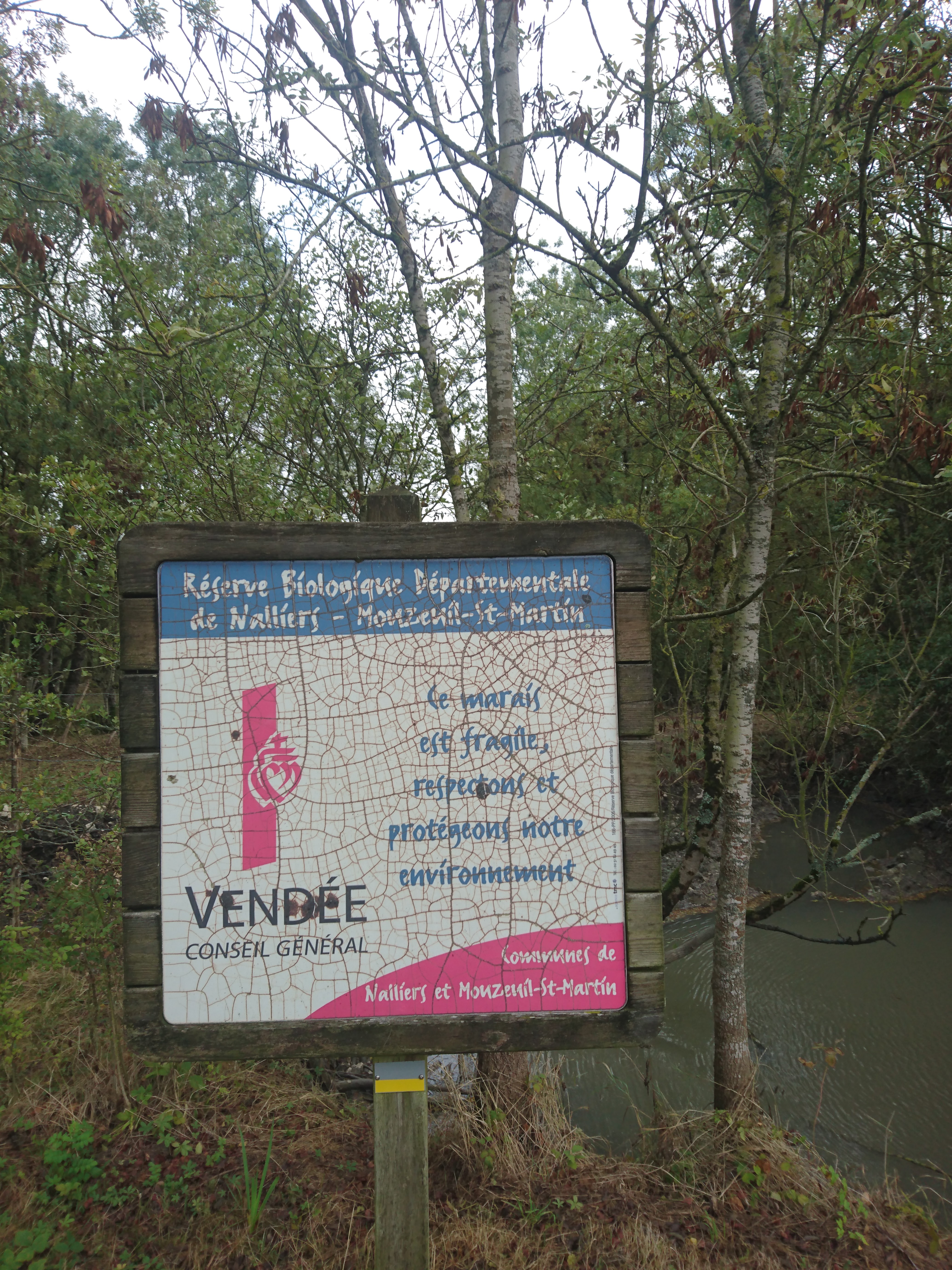 Photo n° 1 de l'avis de Saint.o fait le 26/09/2019 à 10:57