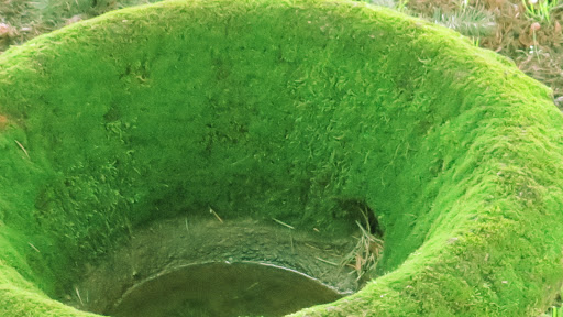 Auto Repair Shop «Meineke Car Care Center», reviews and photos, 3635 SE 82nd Ave, Portland, OR 97266, USA