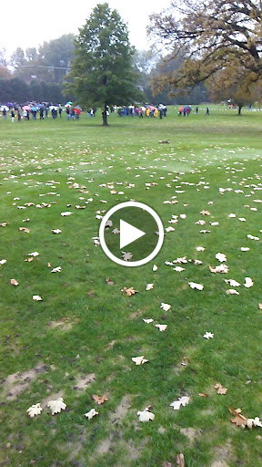 Park «Wing Park Golf Course», reviews and photos, 1010 Wing St, Elgin, IL 60123, USA