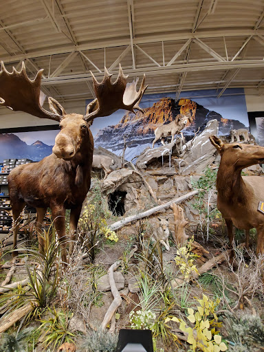 Outdoor Sports Store «Field & Stream», reviews and photos, 1501 Sentinel Dr Ste B, Chesapeake, VA 23320, USA