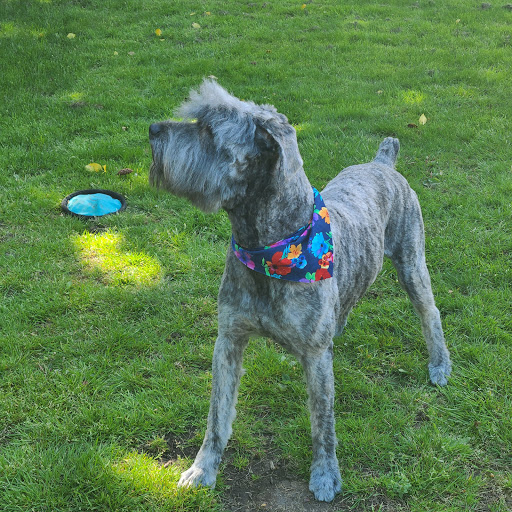 Pet Store «Pet Central», reviews and photos, 13004 SE Kent-Kangley Rd, Kent, WA 98030, USA