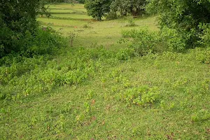 Rewanchal Dhaba And Restaurant image