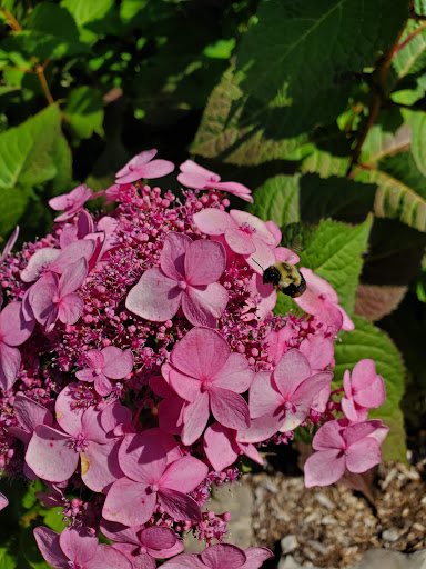 Zoo «Belle Isle Nature Center», reviews and photos, 176 Lakeside Dr, Detroit, MI 48207, USA