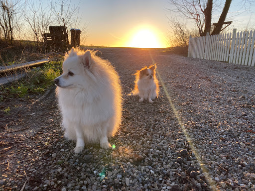 Noddy’s Hundesalon in Eskebjerg, Kalundborg