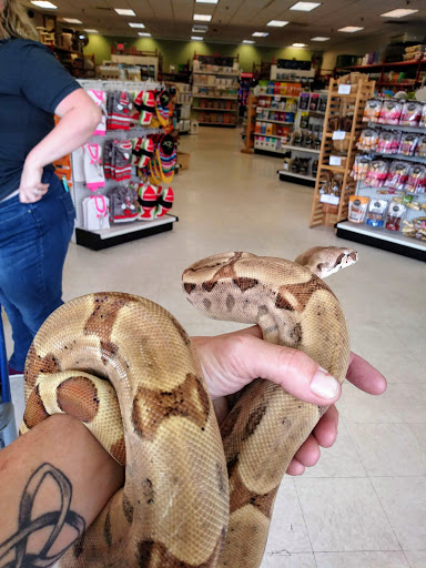 Shopping Mall «Saco Valley Shopping Center», reviews and photos, 4 Scamman St, Saco, ME 04072, USA