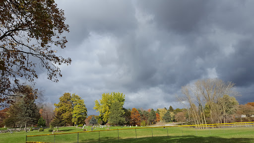 Golf Course «Springfield Oaks Golf Course», reviews and photos, 12450 Andersonville Rd, Davisburg, MI 48350, USA