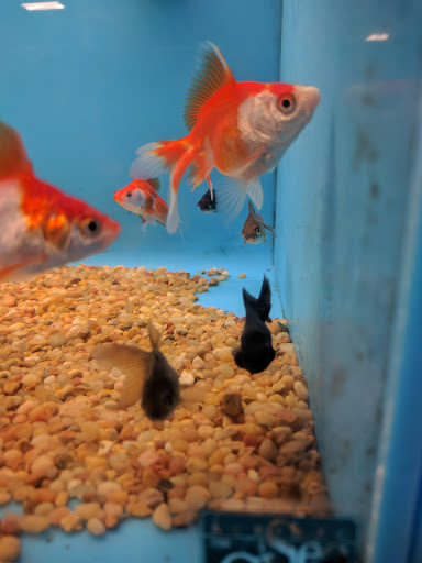 Pet Supply Store «PetSmart», reviews and photos, 20 W University Pkwy, Orem, UT 84058, USA