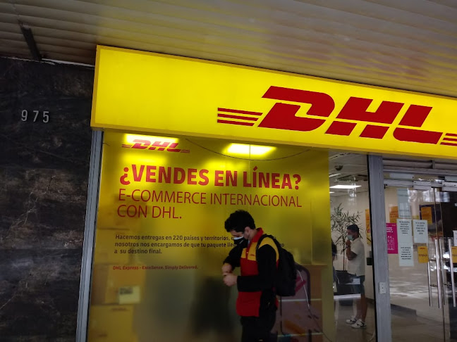 Opiniones de DHL MONEDA en Los Andes - Servicio de transporte