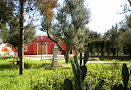 Photos des visiteurs Bed & Breakfast Opunzia masseria 73044 Galatone (miniature)