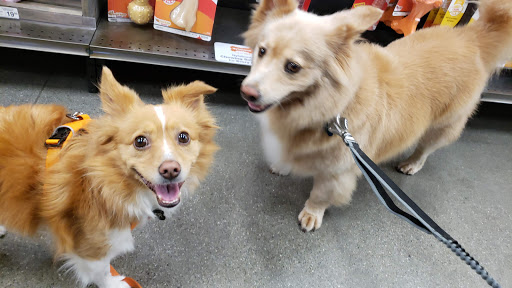Pet Supply Store «Petco Animal Supplies», reviews and photos, 210 Nut Tree Pkwy, Vacaville, CA 95687, USA