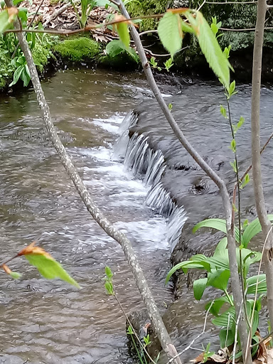 Tourist Attraction «Black Ledge Falls», reviews and photos, Hebron Ave, Glastonbury, CT 06033, USA
