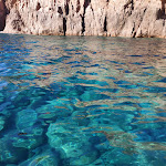 Photo n° 4 de l'avis de F. fait le 13/09/2023 à 13:39 pour Promenades en Mer Corse Adrénaline à Piana