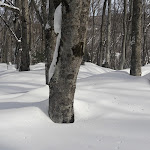 Photo n°7 de l'avis de Giulia.a fait le 17/11/2018 à 22:23 sur le  La Rua Hotel b & b - Pescocostanzo à Pescocostanzo