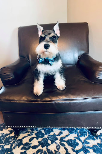 Pet Supply Store «Petco Animal Supplies», reviews and photos, 200 McMahan Blvd, Marion, OH 43302, USA