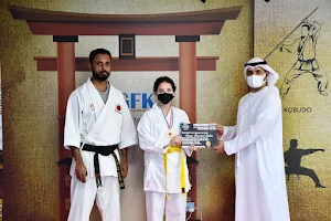 International Golden Falcon Karate - Do LLC (IGFK) image