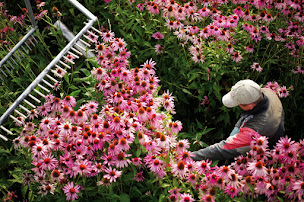 Photo n°1 de A.Vogel France à Colmar ()