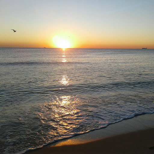 Supermarket «Triton Supermarket», reviews and photos, 2715 Collins Ave, Miami Beach, FL 33140, USA