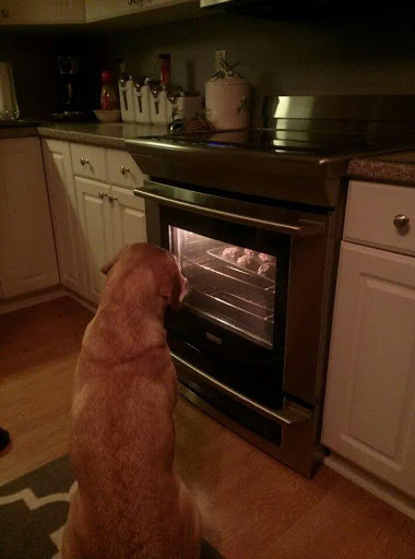 Appliance Store «Hudson Appliance», reviews and photos, 167 Main St, Hudson, MA 01749, USA