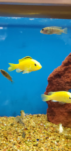 Pet Supply Store «Petco Animal Supplies», reviews and photos, 1243 N Peachtree Pkwy, Peachtree City, GA 30269, USA