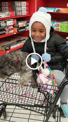 Pet Supply Store «Petco Animal Supplies», reviews and photos, 2765 Papermill Rd G-1, Reading, PA 19610, USA