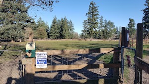 Fort Steilacoom Dog Park - photo 8