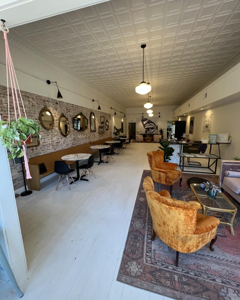 Monarch Social 38344