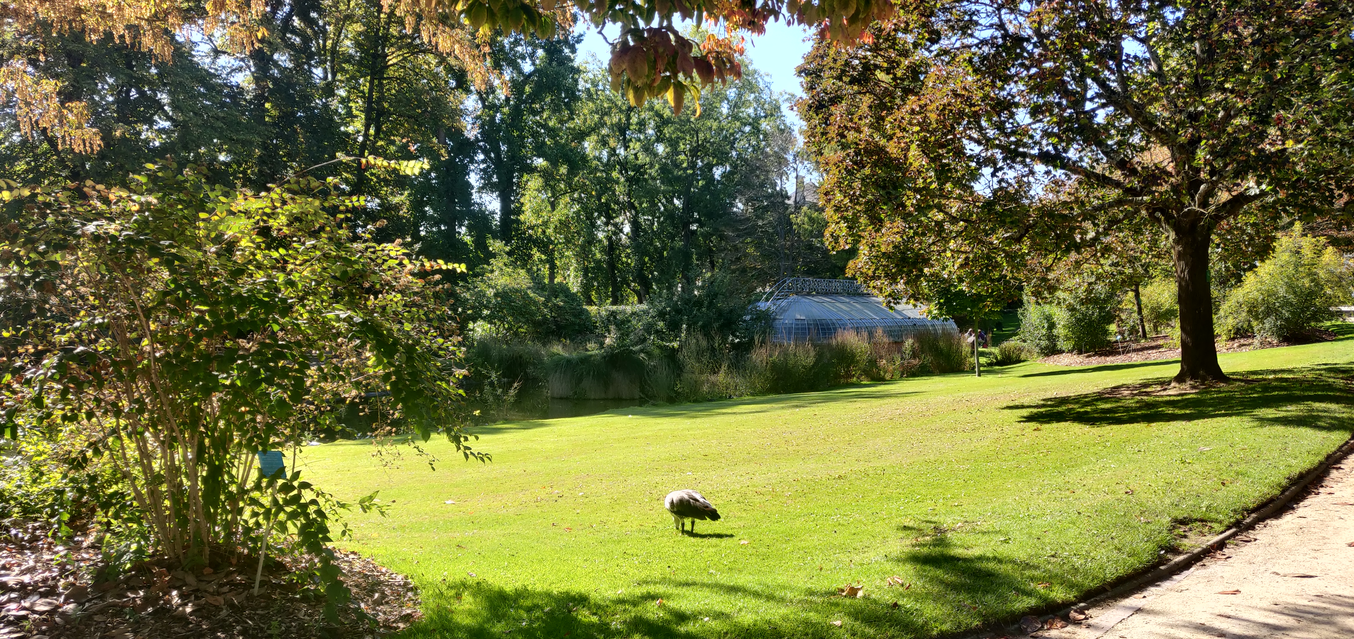 Photo n° 5 de l'avis de Jean.i fait le 08/10/2021 à 14:54