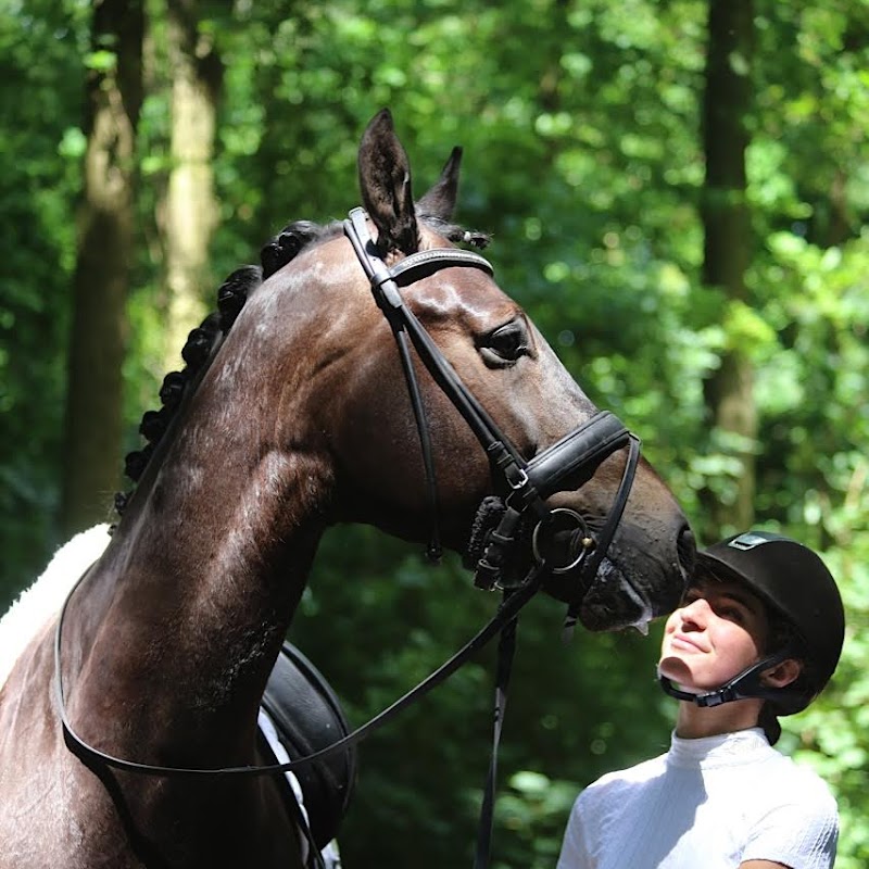 Magic Stables & Justine Mudde Dressage