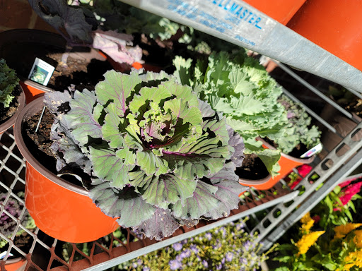 Supermarket «Giant Eagle Supermarket», reviews and photos, 3841 S Hamilton Rd, Groveport, OH 43125, USA