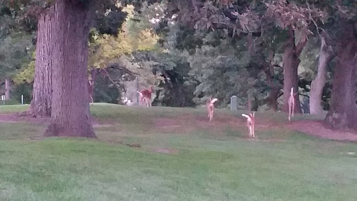 Golf Course «Huron Hills Golf Course», reviews and photos, 3465 E Huron River Dr, Ann Arbor, MI 48104, USA