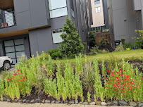 VR Landscaping & Maintenance LLC - Photo 6 - Car repair in , Kent