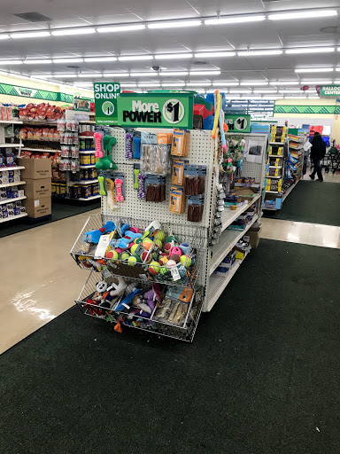 Dollar Store «Dollar Tree», reviews and photos, 11555 San Pablo Ave, El Cerrito, CA 94530, USA