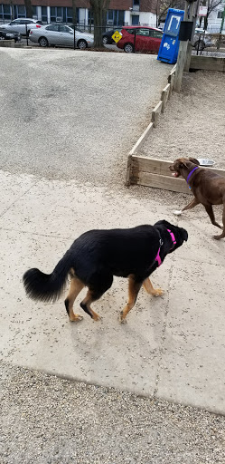 Dog Park «Wiggly Field Dog Friendly Area», reviews and photos, 2645 N Sheffield Ave, Chicago, IL 60614, USA