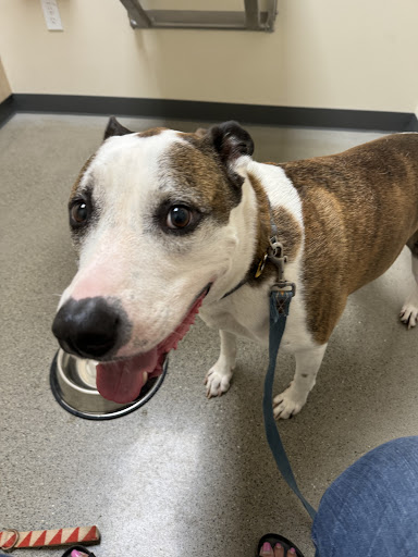 Vetco Total Care Animal Hospital image