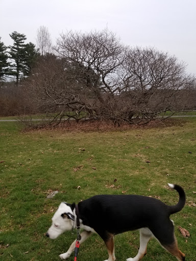 Farm «Pequitside Farm», reviews and photos, 79 Pleasant St, Canton, MA 02021, USA