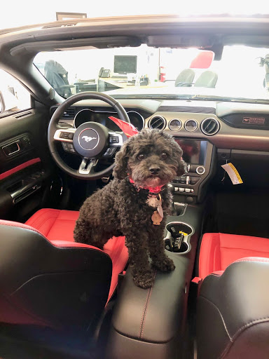 Ford Dealer «Maplecrest Ford of Mendham», reviews and photos, 102 E Main St, Mendham, NJ 07945, USA