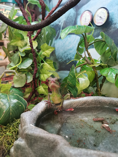 Pet Supply Store «Petco Animal Supplies», reviews and photos, 205 Washington St #11, Hudson, MA 01749, USA