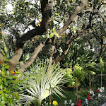 Photo n°1 de l'avis de Monica.r fait le 23/02/2019 à 12:12 sur le  Hotel Villa Elisa & Spa à Bordighera