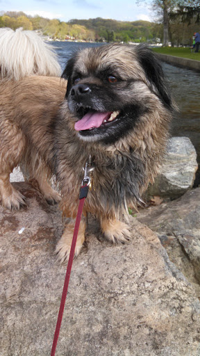 Park «Hopatcong State Park», reviews and photos, 260 Lakeside Blvd, Landing, NJ 07850, USA