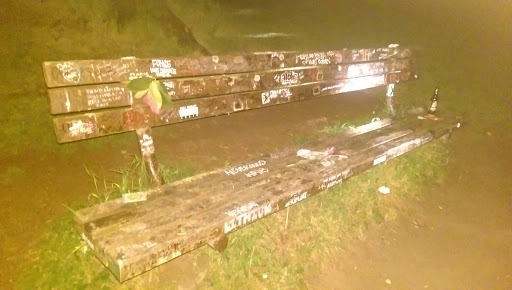 Park «Viretta Park», reviews and photos, 151 Lake Washington Blvd E, Seattle, WA 98112, USA