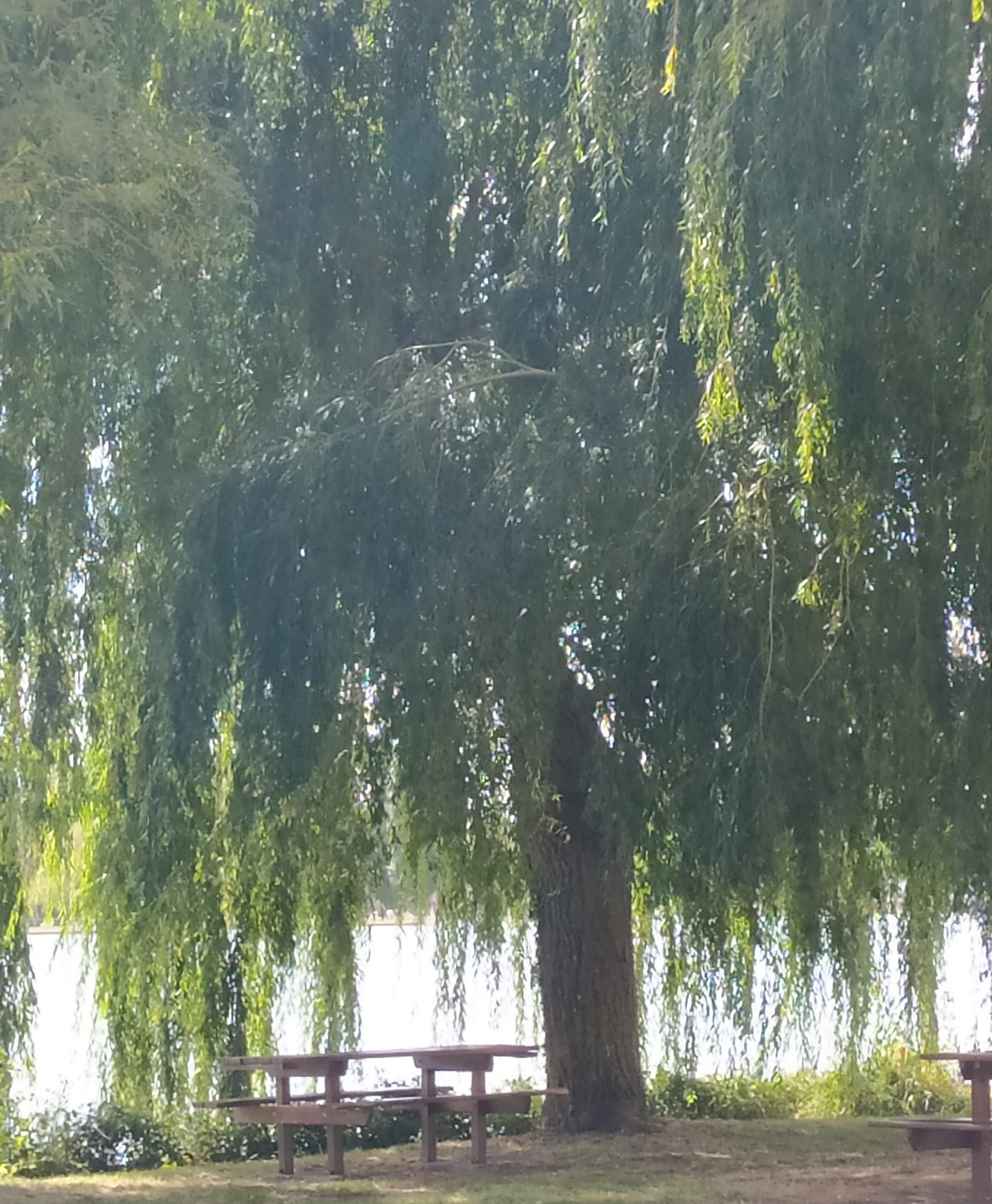 Photo n° 2 de l'avis de jackie.a fait le 10/09/2020 à 13:01