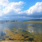 Photo n°7 de l'avis de Valentina.e fait le 19/09/2021 à 17:15 sur le  Locanda dei Pescatori del Trasimeno à Sant'Arcangelo