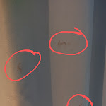 Photo n°2 de l'avis de D... fait le 02/12/2023 à 13:13 sur le  NEWBERLIN à Berlin