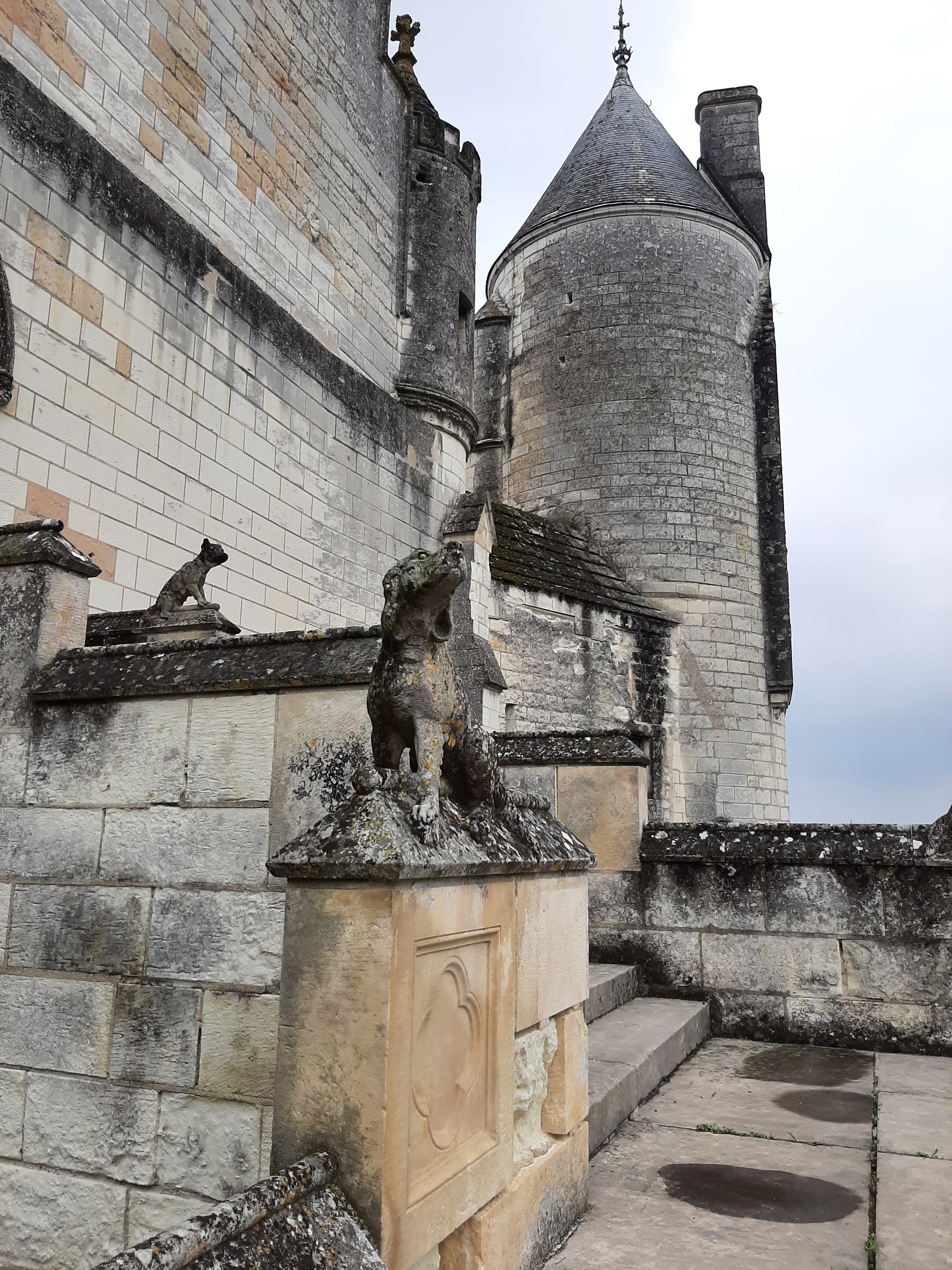 Photo n° 25 de l'avis de Olive.. fait le 26/04/2022 à 19:12