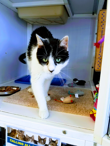 Pet Supply Store «Pet Supplies Plus», reviews and photos, 1258 Northlake Blvd, Lake Park, FL 33403, USA