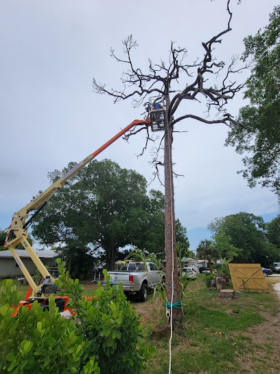 Troncotreeservicescorp