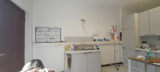 Dr.med.vet. Osvair Escorsin Tierarzt unter Gleichen, Niedersachsen