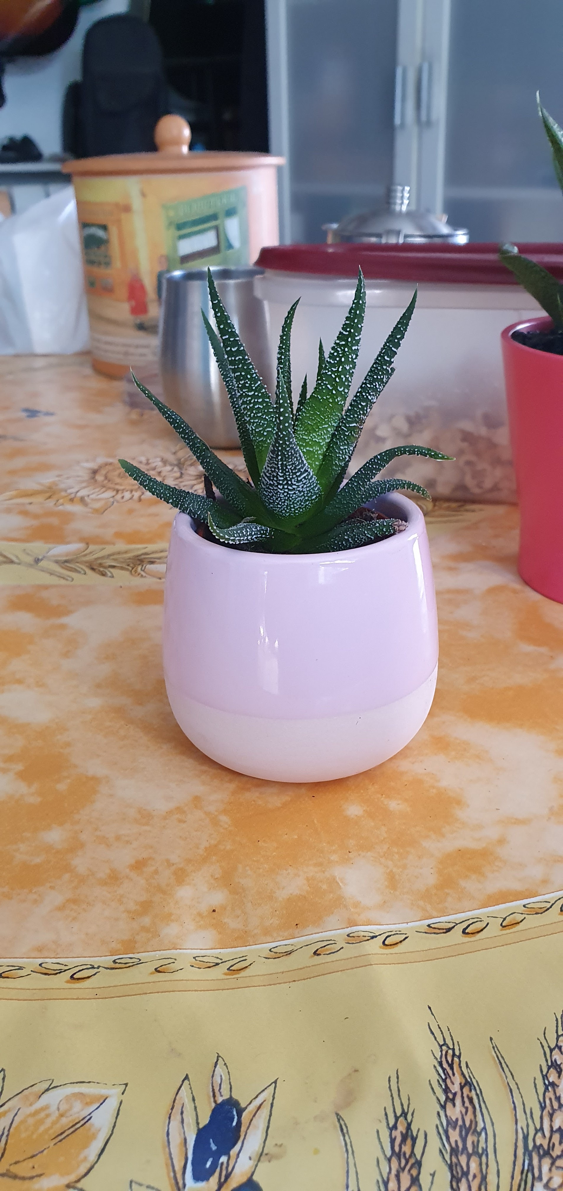 Photo n° 18 de l'avis de Laurine.h fait le 04/10/2021 à 19:17