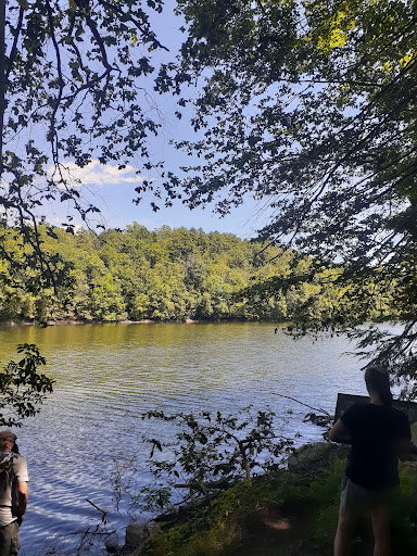 Nature Preserve «Mianus River Gorge Preserve», reviews and photos, 167 Mianus River Rd, Bedford, NY 10506, USA